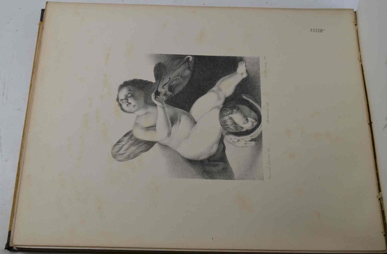 Le belle arti nel territorio varesino. Raccolta di pitture e …