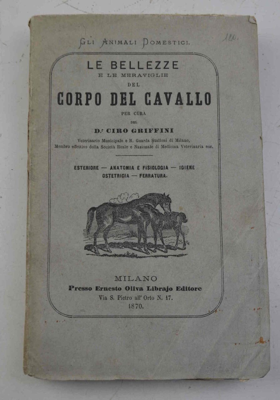 Le bellezze e le meraviglie del corpo del cavallo...