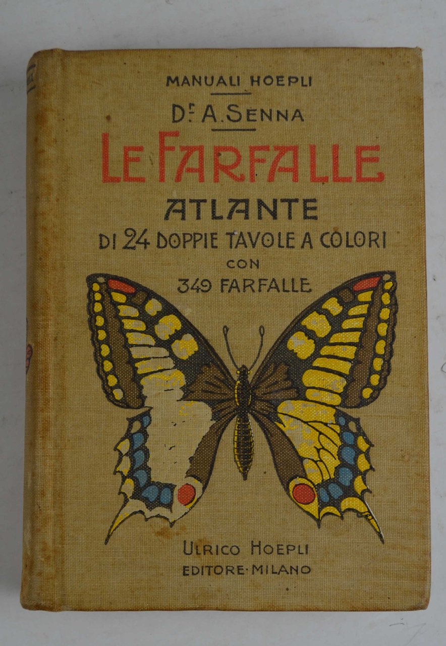 Le farfalle…