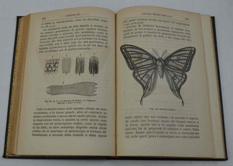 Le Farfalle. Saggio popolare di storia naturale sugli insetti…