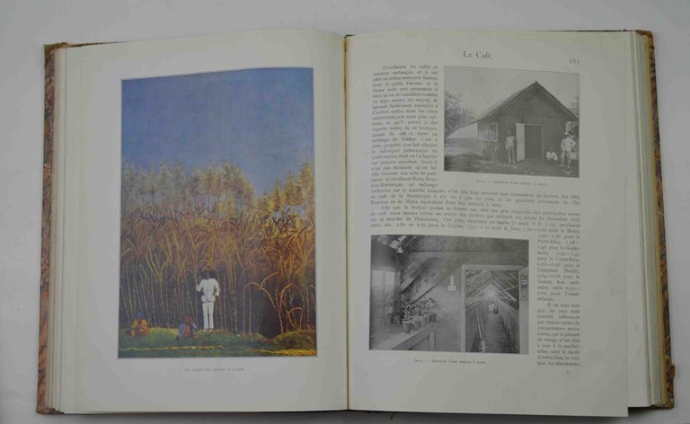 Les grandes cultures du monde. Leur histoire - leur exploitation … | Immagine Gallery 4