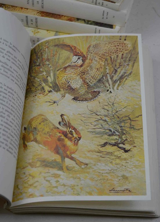 Les maîtres bécassiers.