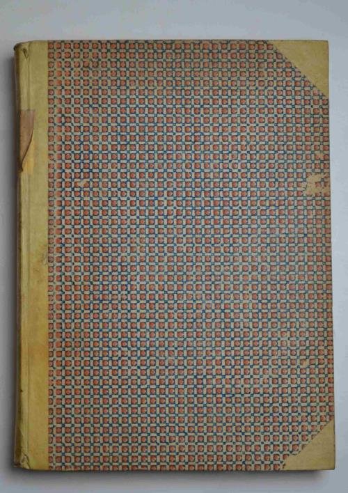 Lezioni medico-pratiche sopra i principali vermi del corpo umano vivente … | Immagine Gallery 4