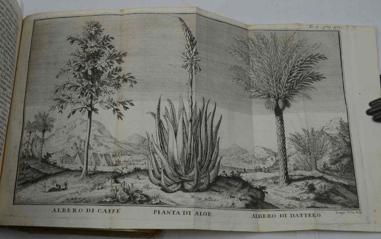 Lo stato presente di tutti i paesi e popoli del mondo naturale, politico e morale... Volume V. Della Persia, dell'Arabia, Mecca, e Medina: Tartaria asiatica, Siberia, Nuova Zembla, Kalmuki, Cirkassi, Usbeki.