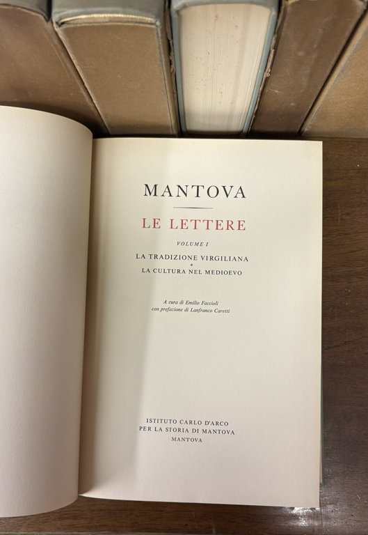 Mantova. La storia, le lettere, le arti.