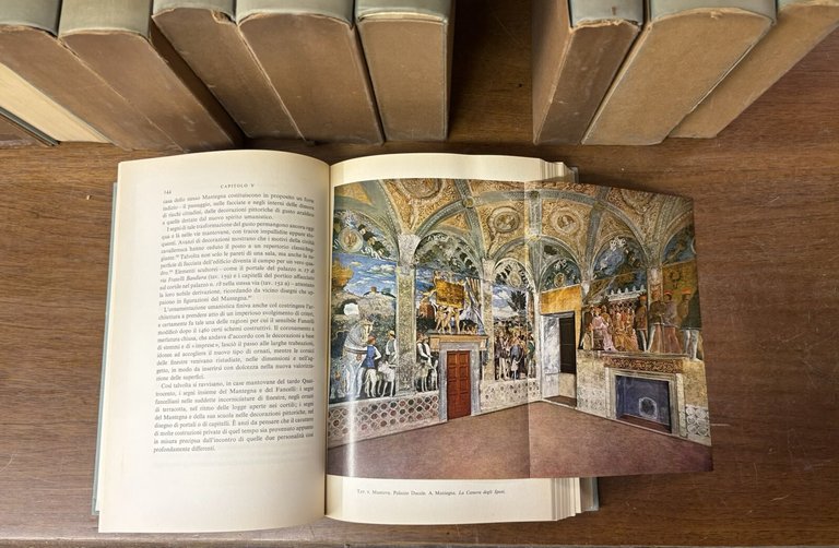 Mantova. La storia, le lettere, le arti.
