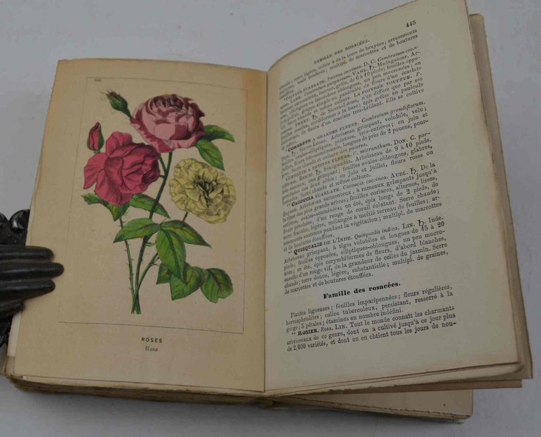 Manuel illustré du jardinier-fleuriste ou traité de la culture des …