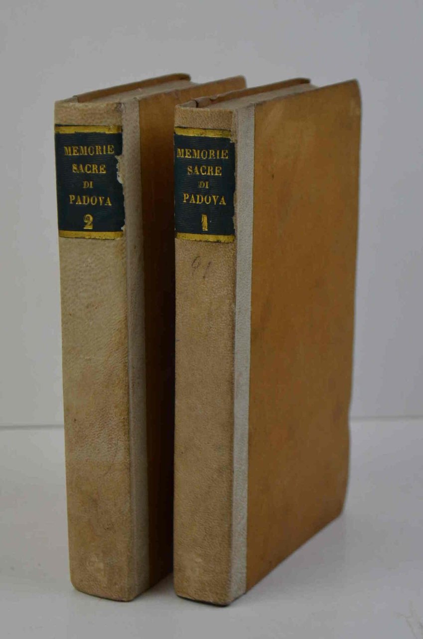 Memorie antiche ecclesiastiche e profane sulla città e diocesi di … | Immagine principale