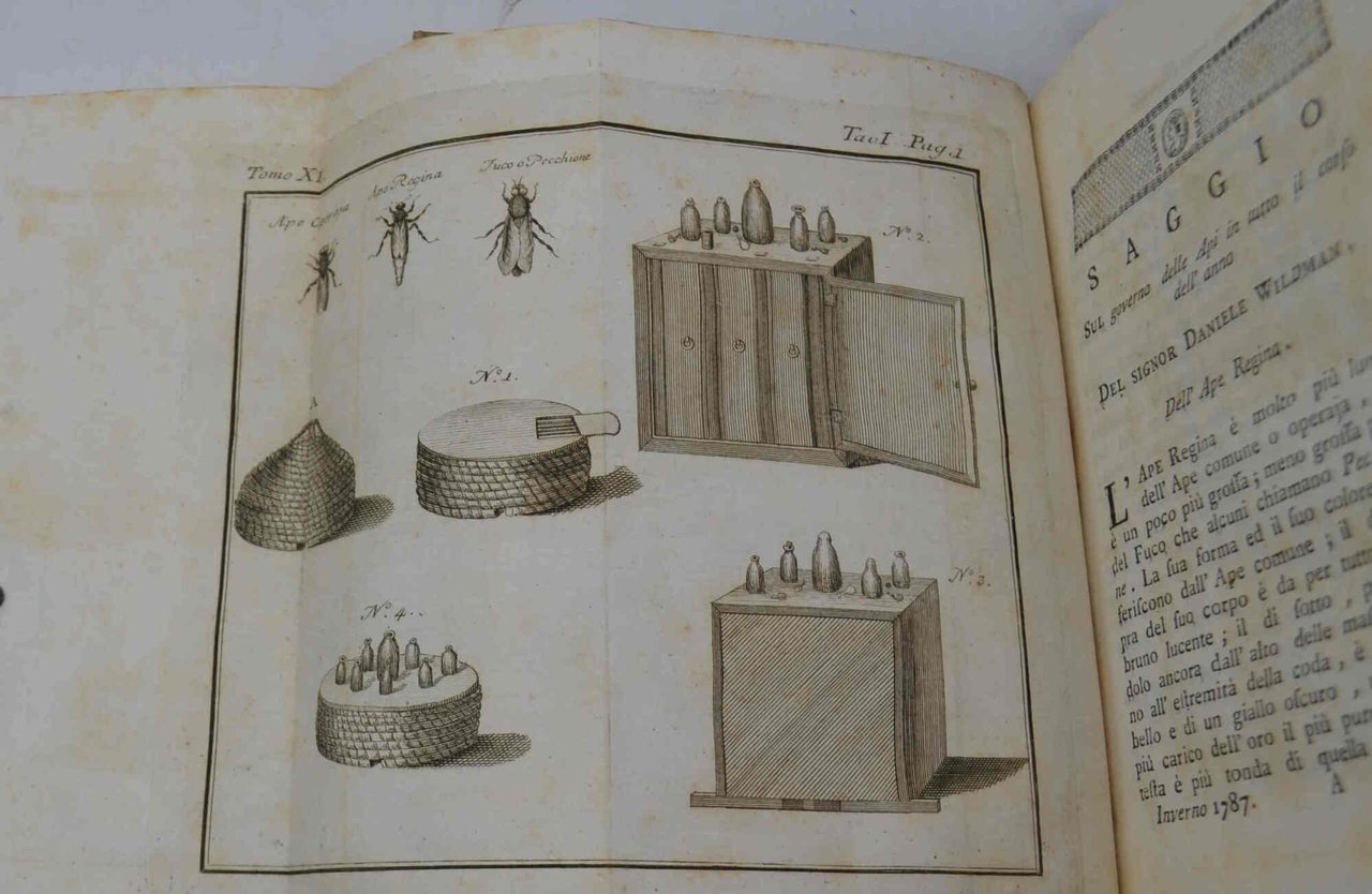 Memorie di agricoltura, di economia rurale e domestica pubblicate Dalla … | Immagine principale