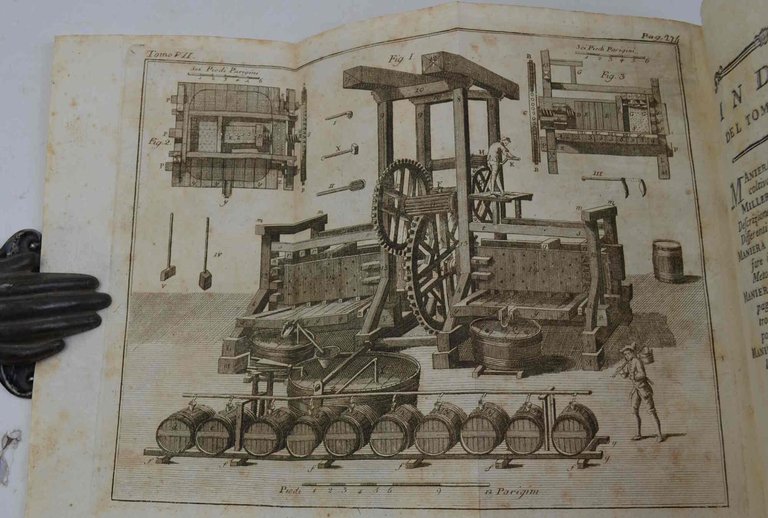 Memorie di agricoltura, di economia rurale e domestica pubblicate Dalla … | Immagine Gallery 2