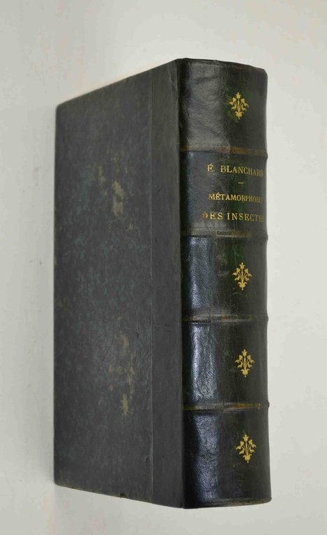 Métamorphoses, moeurs et instincts des insectes...