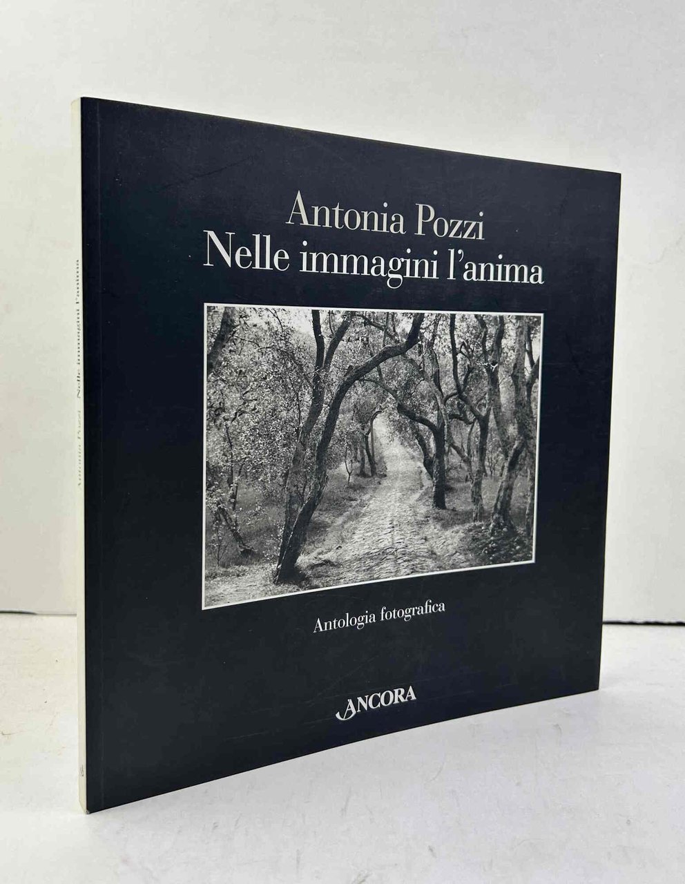 Nelle immagini l'anima.