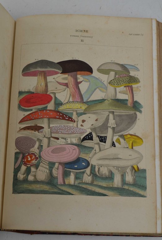 Nuova enciclopedia popolare ovvero dizionario generale di scienze, lettere, arti, …