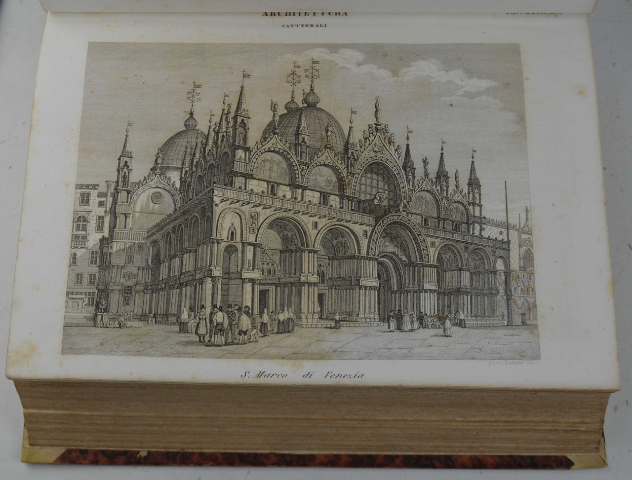 Nuova enciclopedia popolare ovvero dizionario generale di scienze, lettere, arti, …