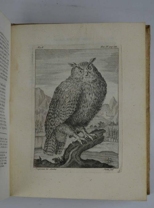 Opuscoli scelti sulle Scienze e sulle Arti… Tomo IV.