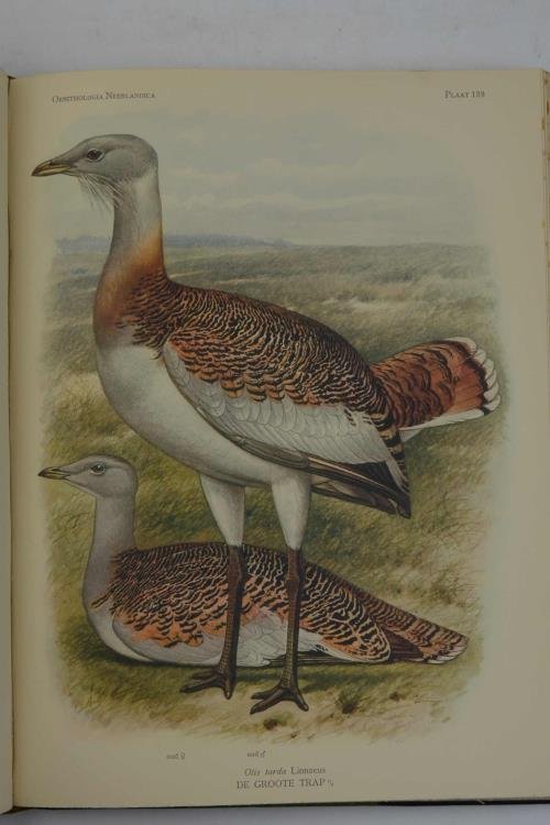 Ornithologia Neerlandica. De Vogels van Nederland.