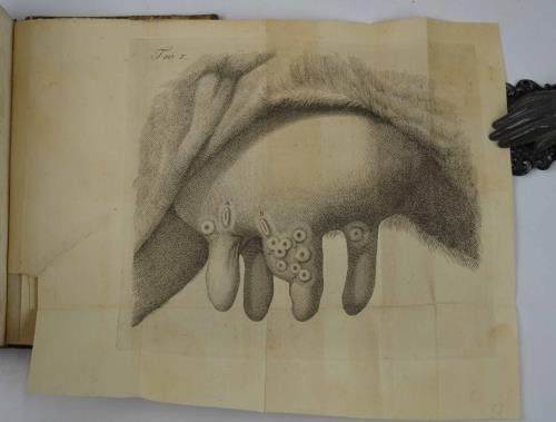 Osservazioni pratiche sull'uso del vajuolo vaccino, come preservativo del vojuolo …