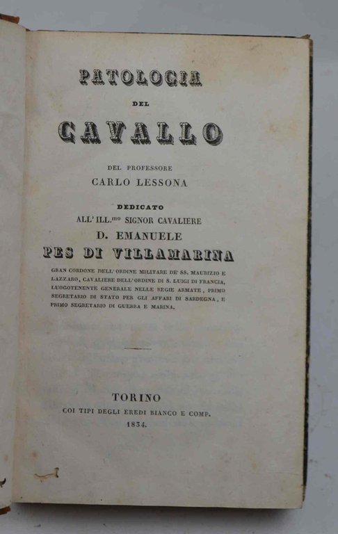 Patologia del cavallo...
