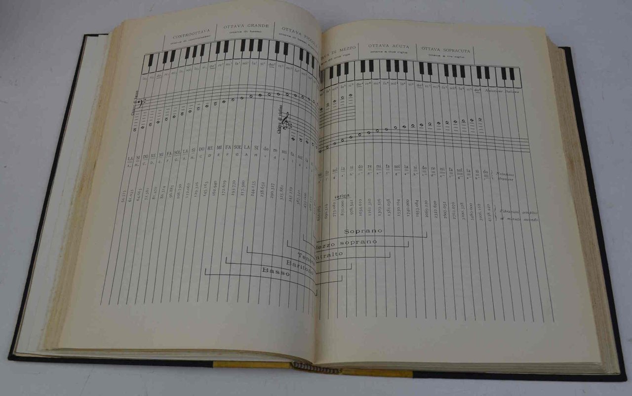 Per l'oratore e per il cantante. Principi di fisiologia e … | Immagine principale