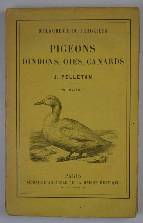 Pigeons, dindons, oies et canards…