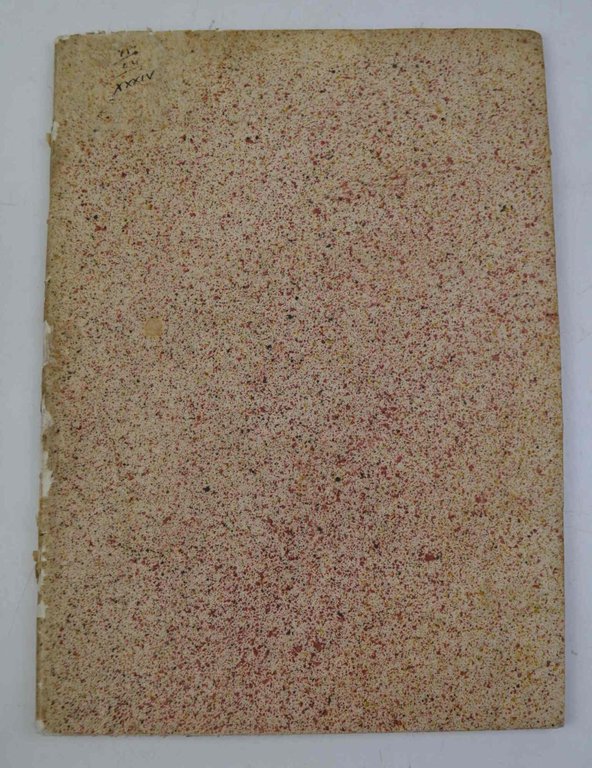 Pisaura Automorpha e Coreopsis Formosa piante nuove... | Immagine Gallery 1