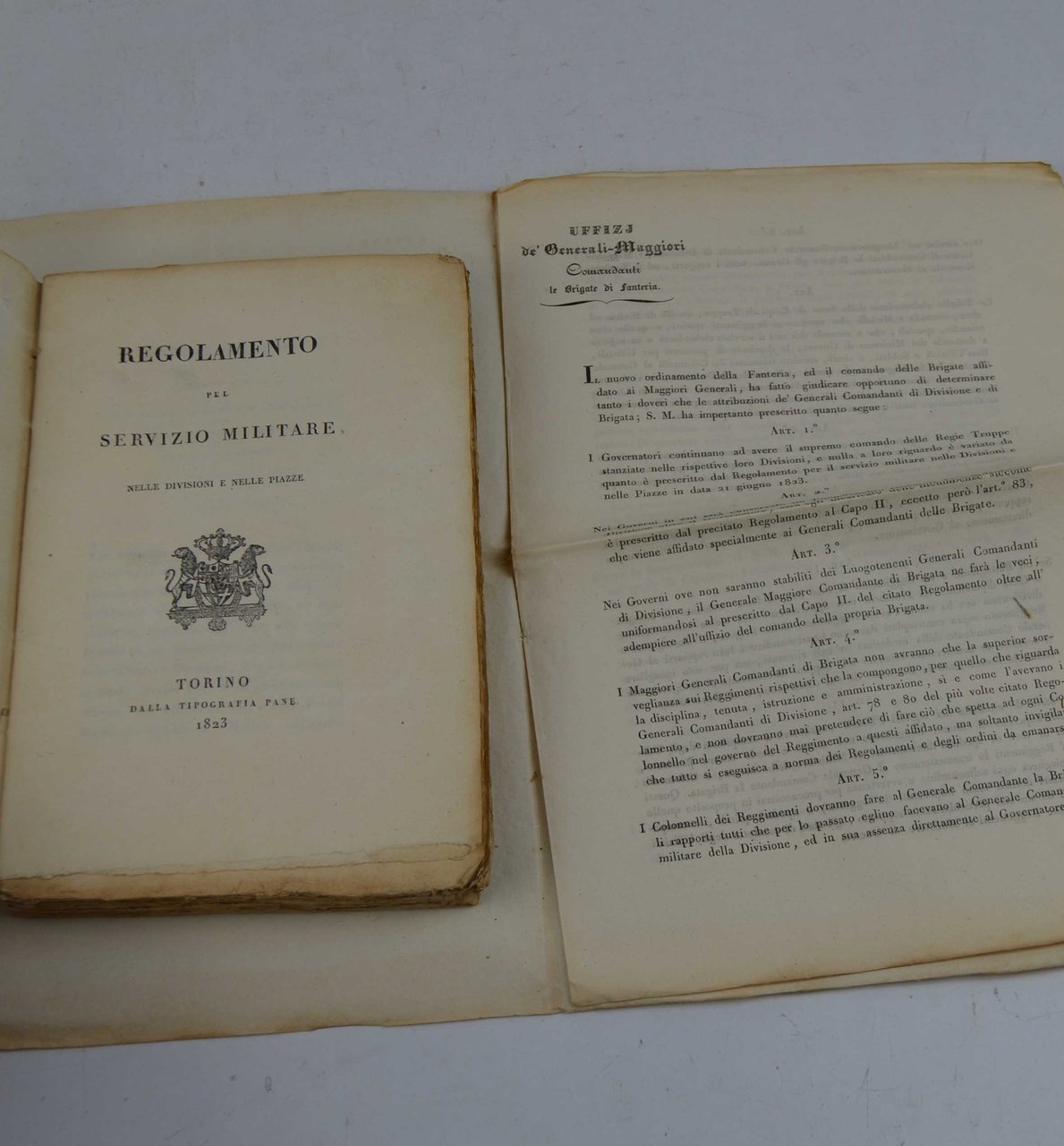 Regolamento pel servizio militare nelle divizioni e nelle piazze.