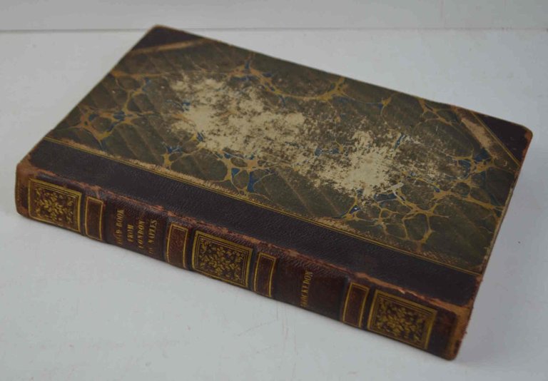 Road-book from London to Naples. illustrated with twenty-five views, from …