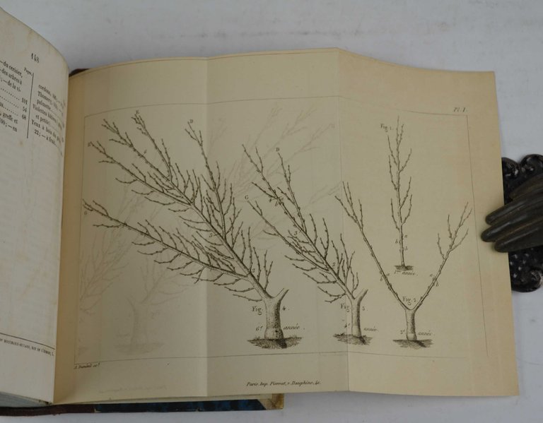 Saggi di agricoltura pratica sulla coltivazione dei gelsi e delle … | Immagine Gallery 4