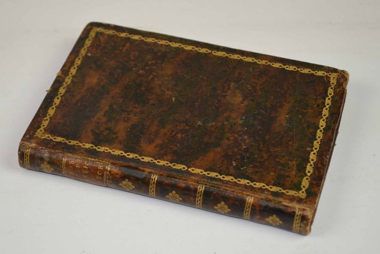 Scherzi poetici e pittorici…