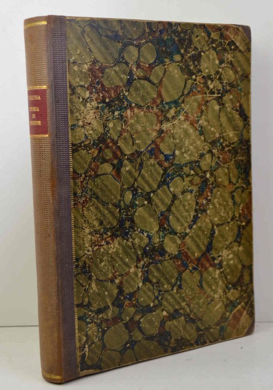 Storia cronografica di Trieste dalla sua origine sino all'anno 1695 … | Immagine Gallery 3