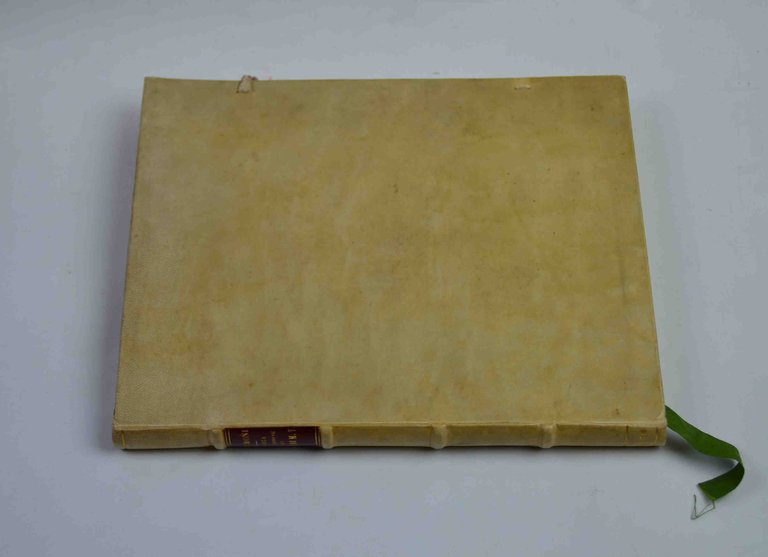 Storia dell'origine, e fondazione del sagro ordine de' servi di … | Immagine Gallery 6