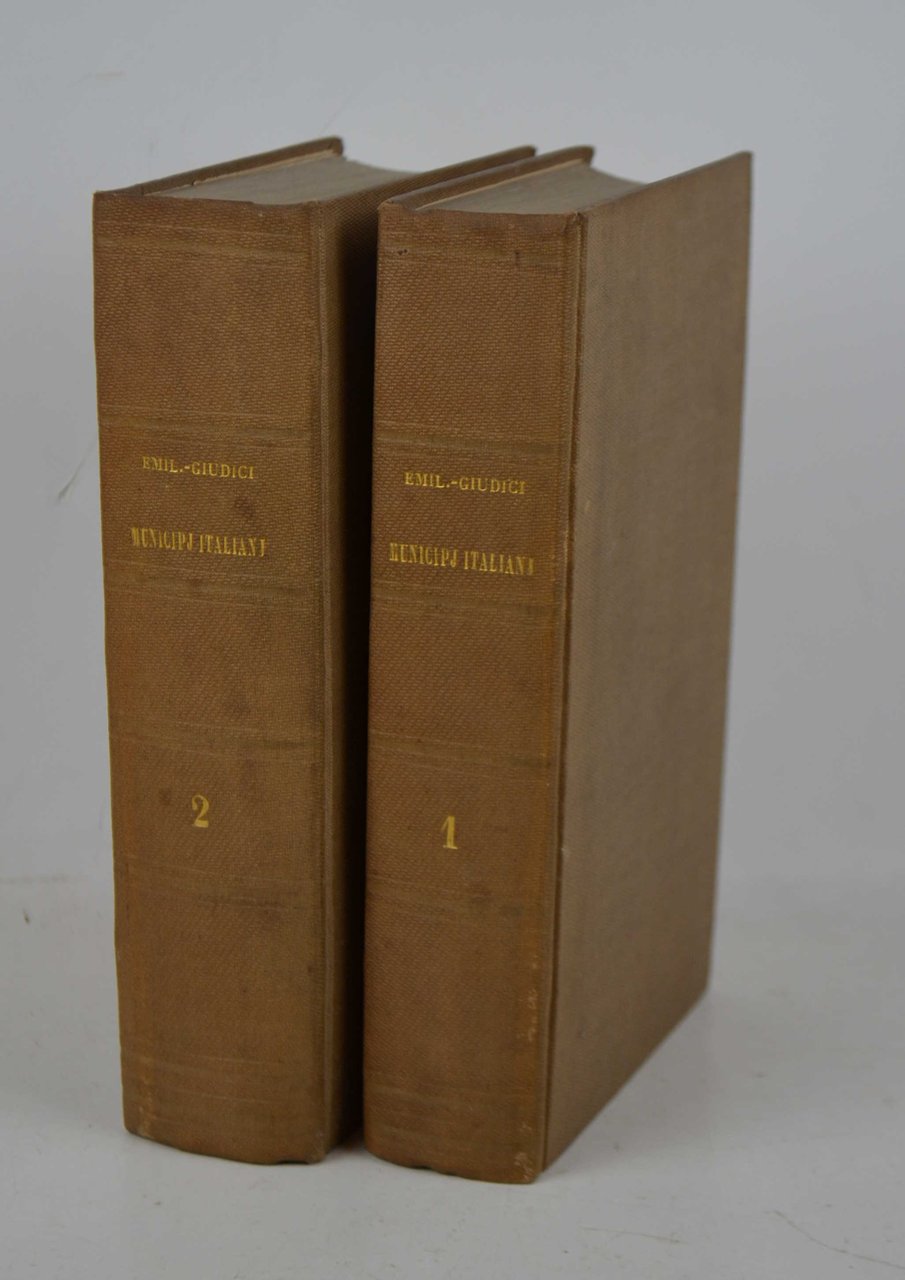 Storia politica dei municipj italiani…