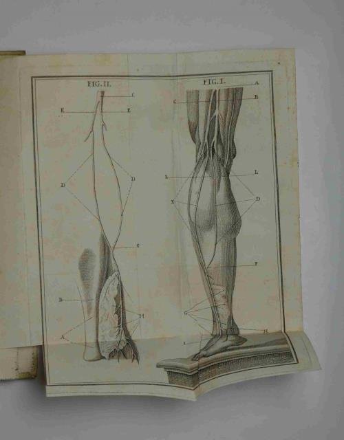 Sull'insensibilità e irritabilità di alcune parti degli animali. Dissertazioni de' … | Immagine Gallery 5