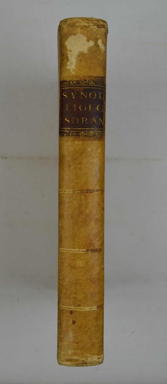 Synodus Dioecesana ab illustriss. et reverendiss. domino d. Matthio Gagliano … | Immagine Gallery 6