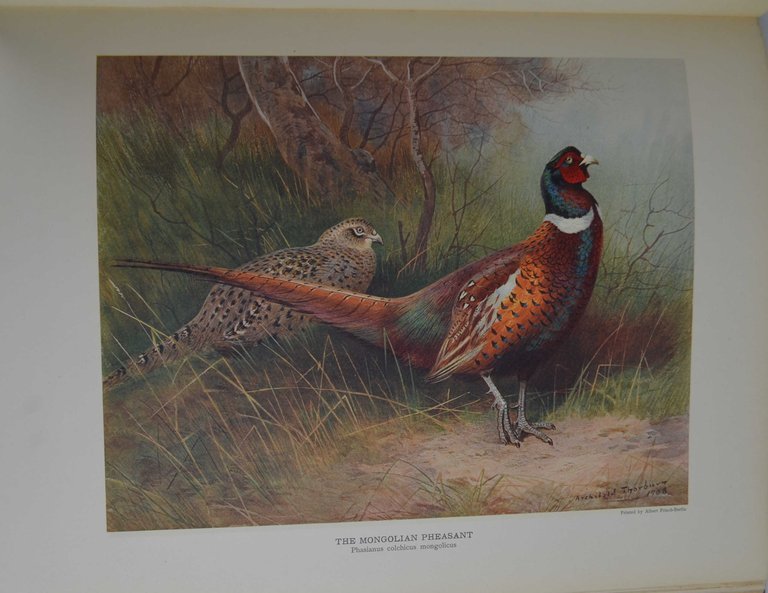 The natural history of british game birds.