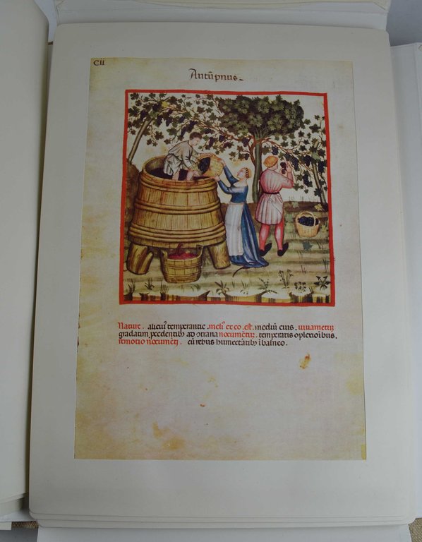 Theatrum sanitatis. Codice 4182 della R. Biblioteca Casanatense.