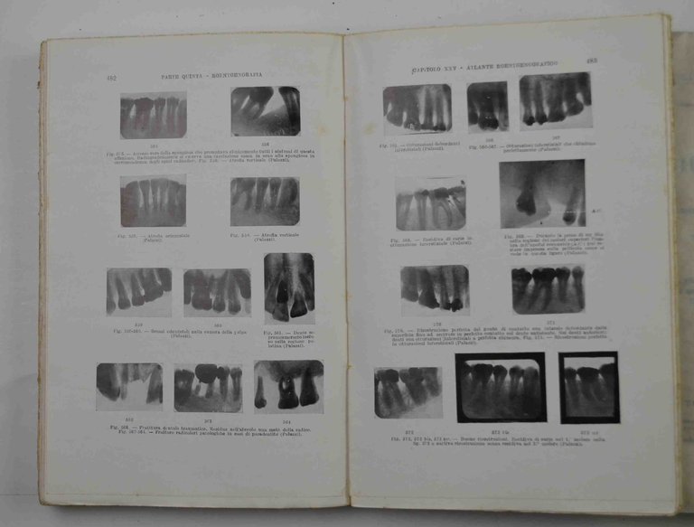 Trattato di odontologia per medici e studenti. | Immagine Gallery 3