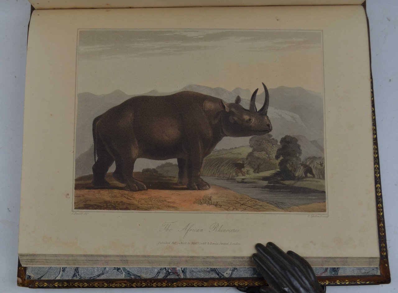 Travels into the Interior of Southern Africa. In which are … | Immagine principale