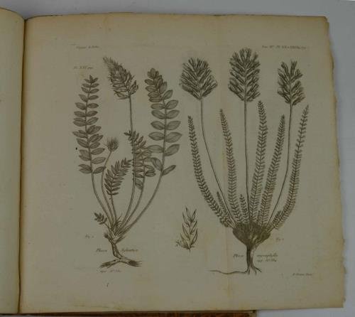 Voyage de M. Pallas en différentes provinces de l'Empire de …