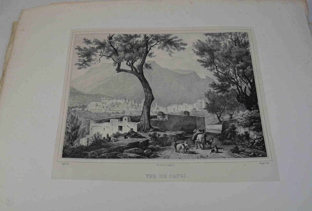 Vues pittoresques de l'italie, dessinées d'après nature... et lithographiées... | Immagine principale