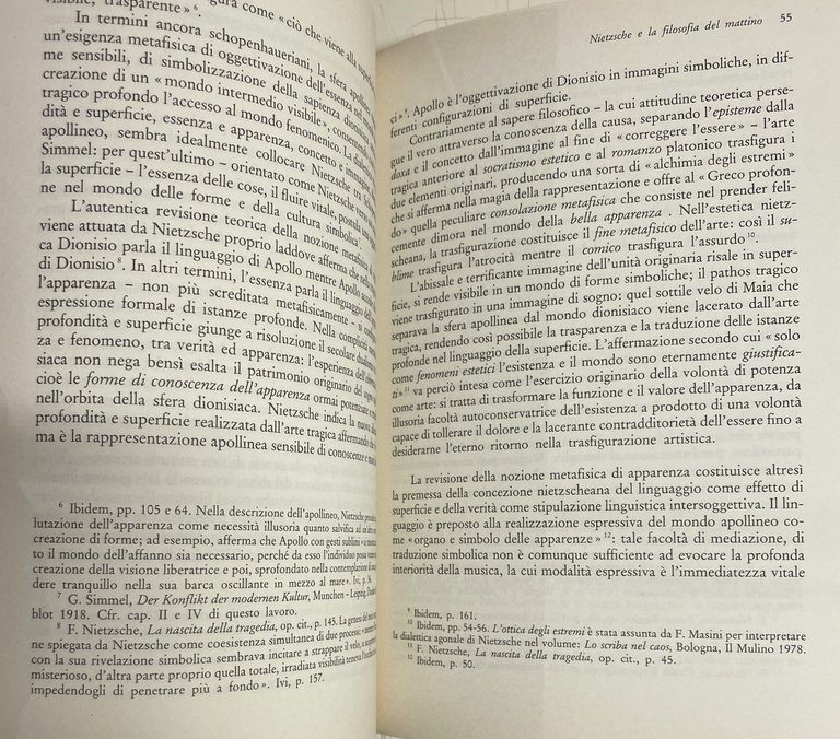 IL SAPERE DELLA SUPERFICIE DA NIETZSCHE A SIMMEL