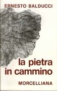 Pietra in cammino