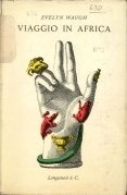 Viaggio in Africa