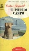 Il piccolo campo