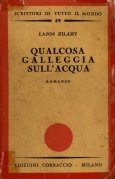 Qualcosa galleggia nell'acqua