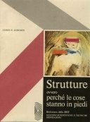 Strutture ovvero perché le cose stanno in piedi