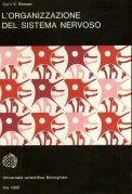 L'organizzazione del sistema nervoso