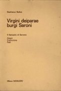 Virgini deiparae burgi Saroni