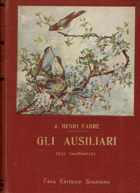 Ausiliari (GLI)