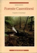 Foreste casentinesi
